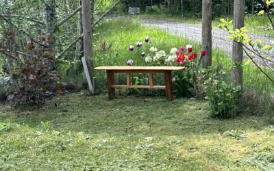 Douglas Fir Garden Bench